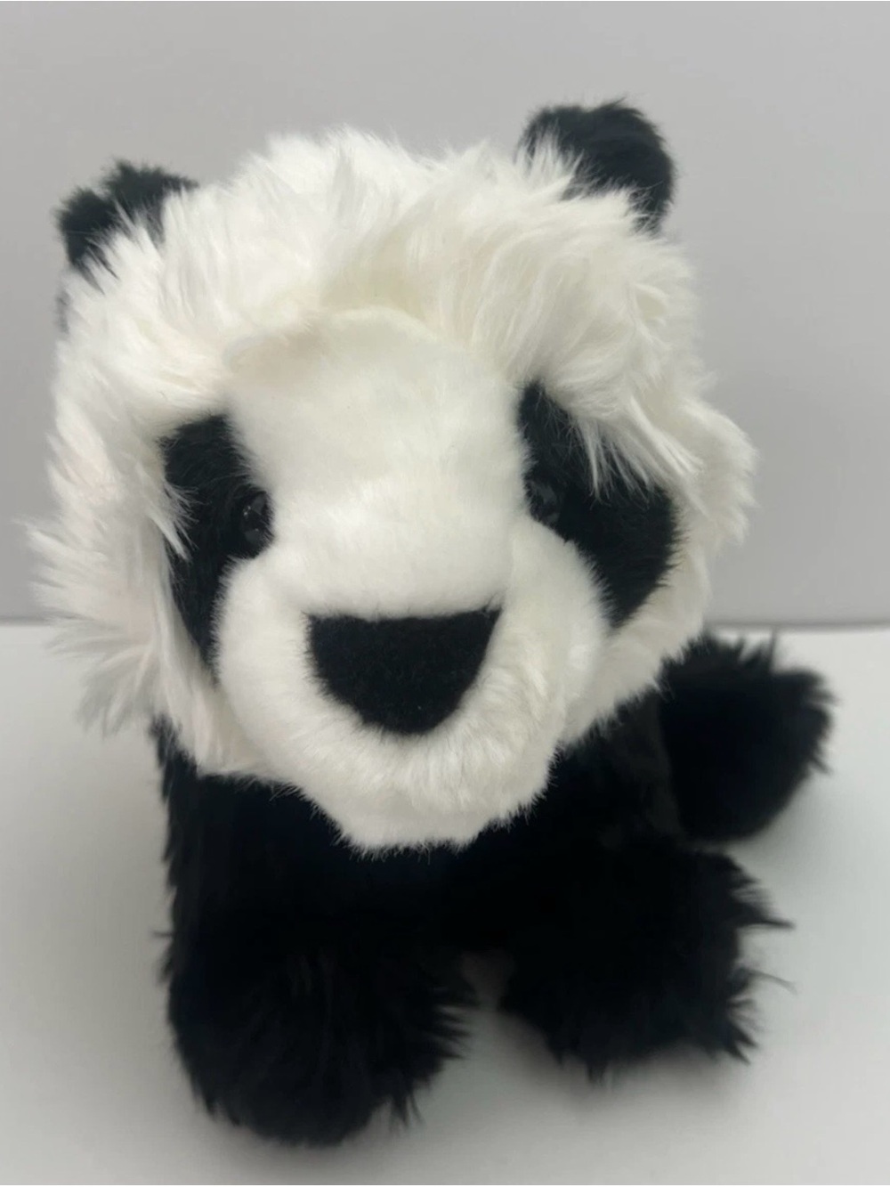 2014 Douglas Cuddle Toys Panda Bear Plush 12" Realistic Scruffy Fur Stuffed Toy